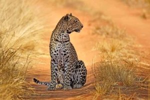 Kenya National Parks and reserves