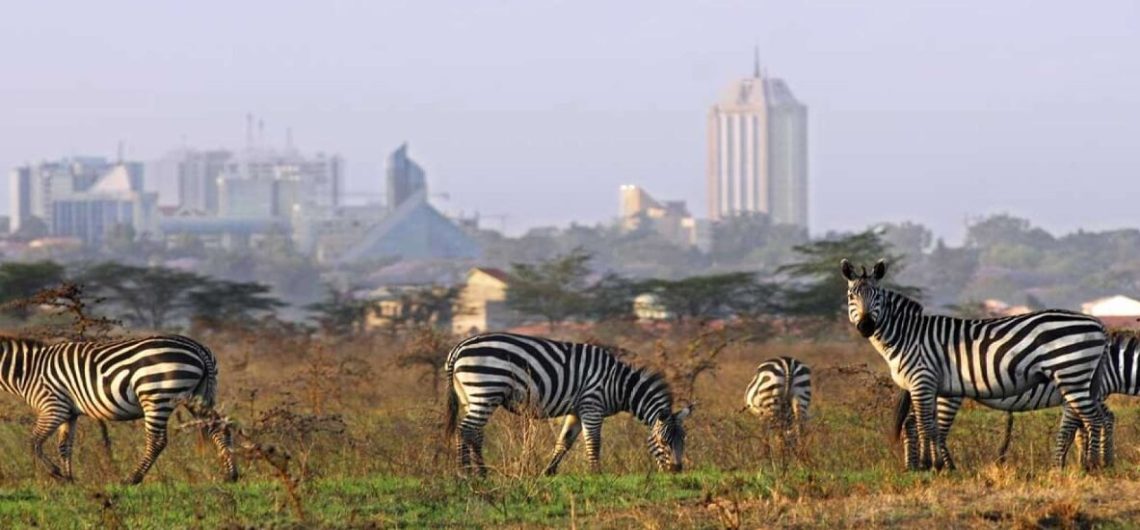 Why Travel With Us