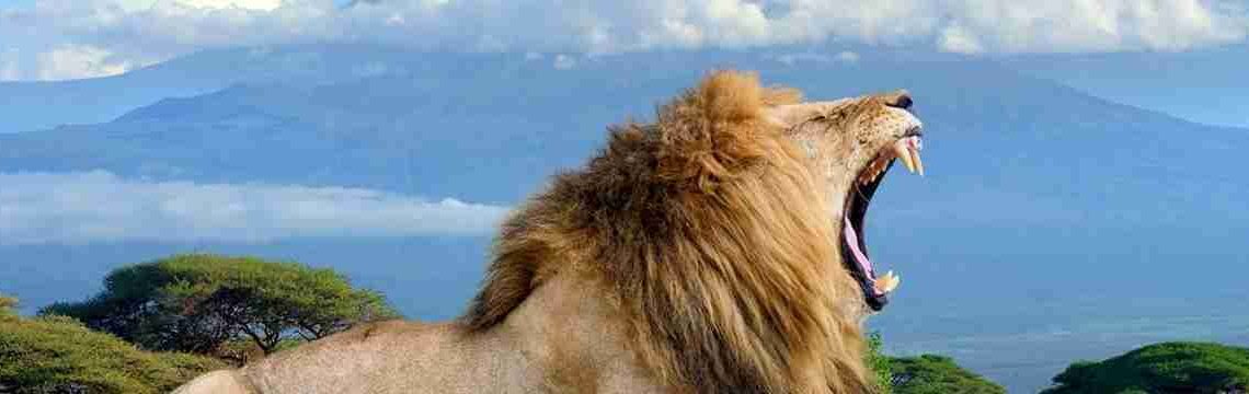 Amboseli National Park