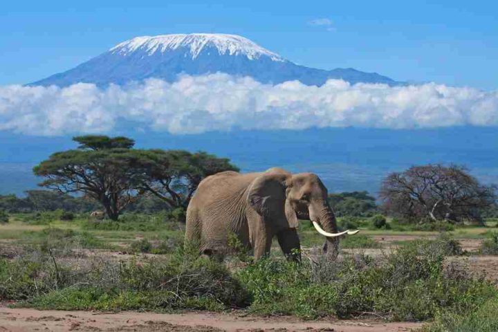 10-Day Kenya Safari Tour
