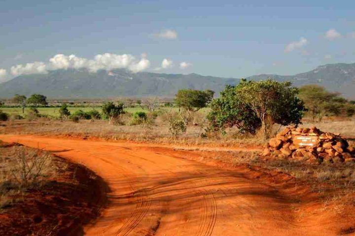 A red dirt road winding through a savanna with scattered trees under a blue sky with mountain range in the background and a small pile of rocks on the roadside.